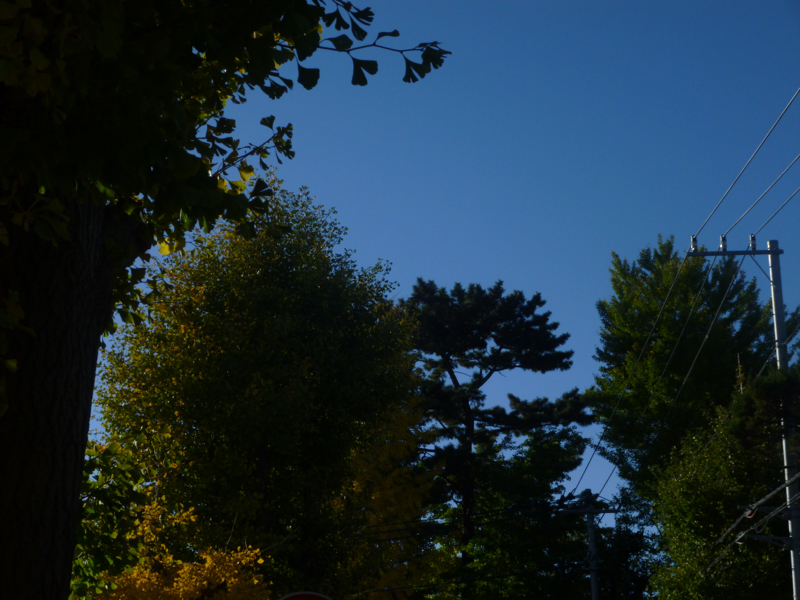 #149 インデックスカード