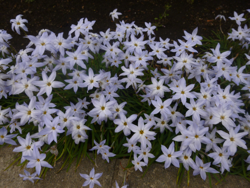 #192 時代に方向ってあるのかな