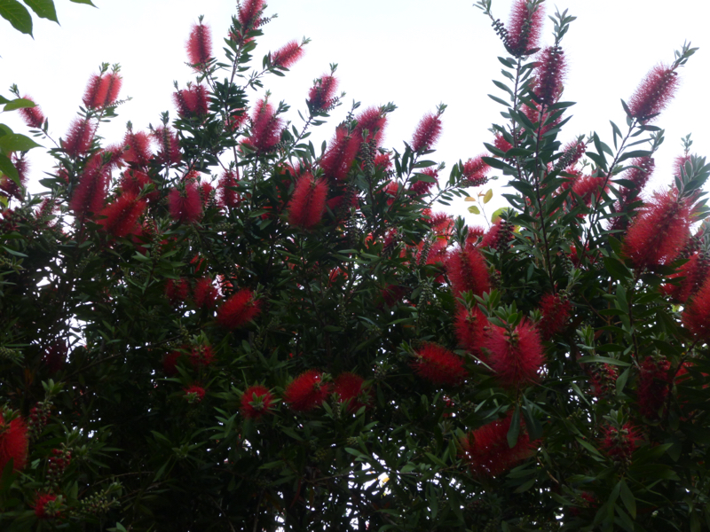 #261 疲れると出てくるやつ