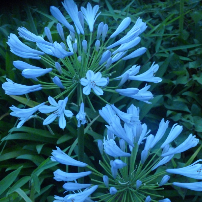 #287 1時間45分かかりましたー