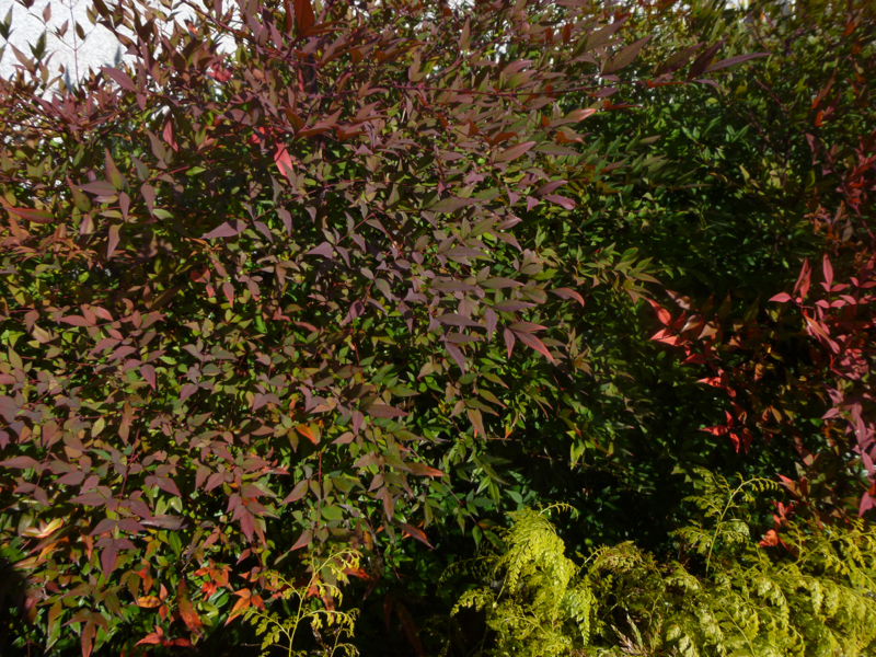 #461 初詣とか2023年の抱負とか