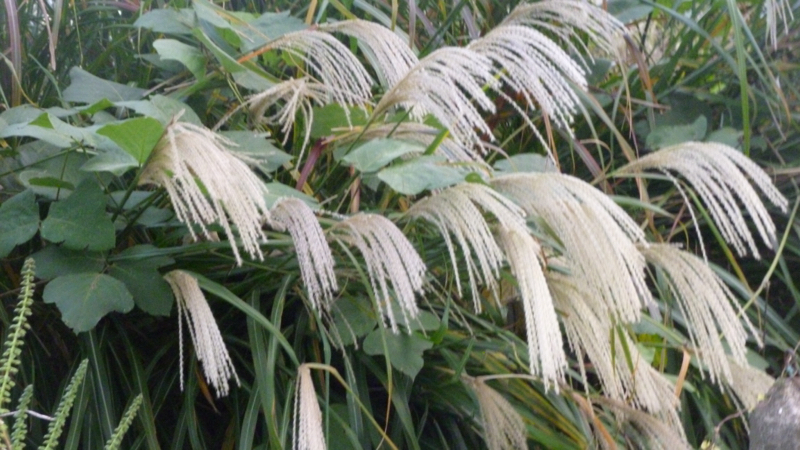 #570 盛りだくさんの連勤だった…