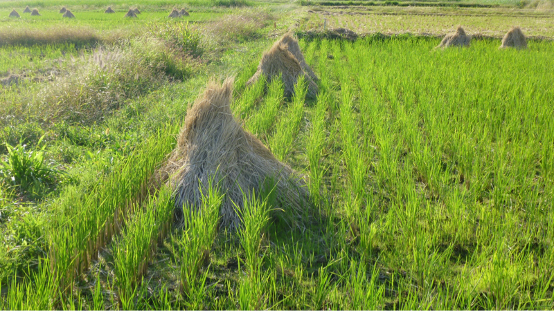#881 雇用形態とか繁忙期、閑散期