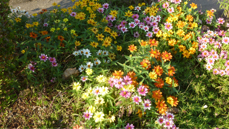 #889 時計買い直しとか衝撃の歯