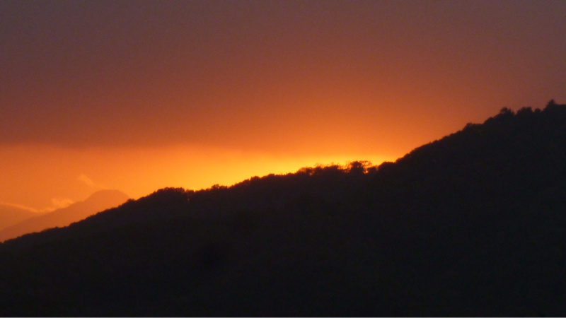 #891 謹賀新年2026