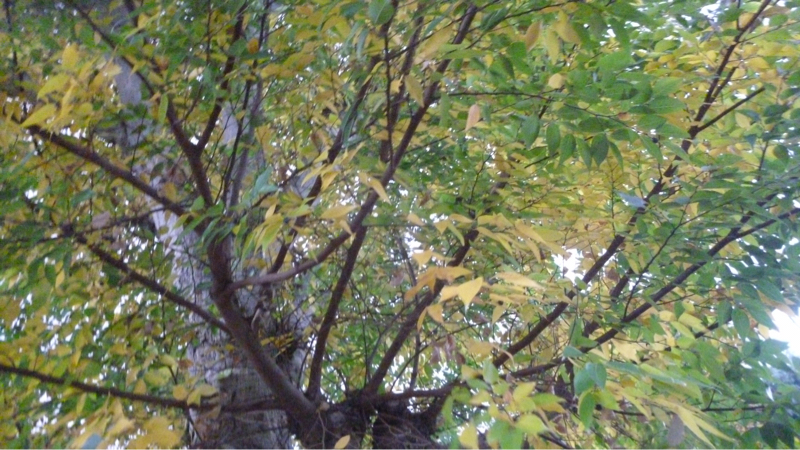 #896 日めくりカレンダーとか格差社会とか