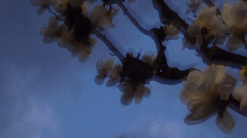 #897 断捨離、通帳解体など