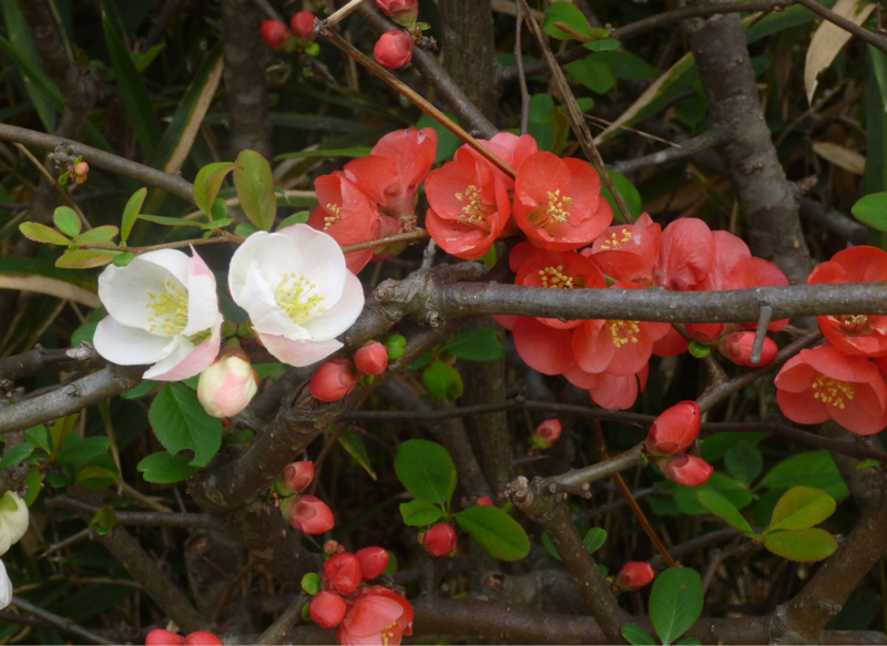 #899 経済ぼやきとか