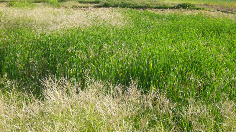 #907 もろもろアカウント、YouTubeとか