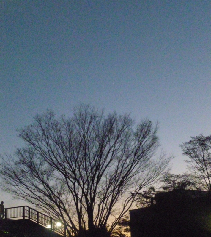 #912 開票結果とか