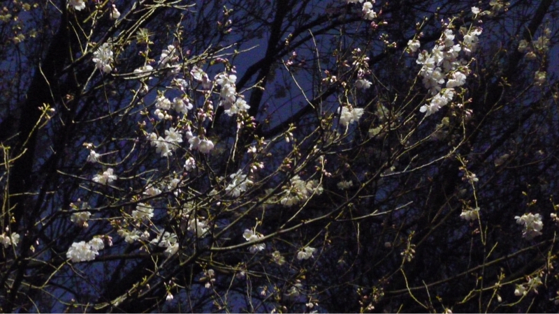 #913 水道管破裂事件