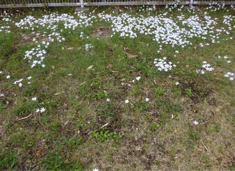 #918  時間の浪費が気になる