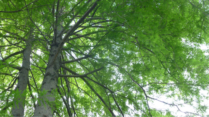 #926 戦争とか融通念仏とか