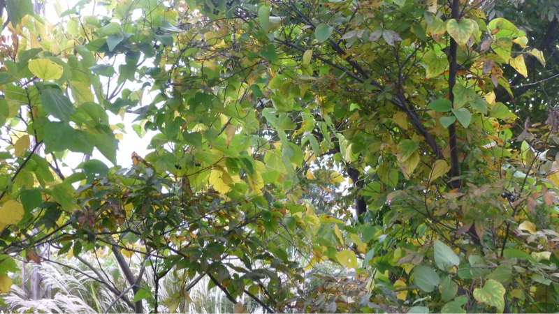 #928 世界情勢、相場雑感とか祈りとか