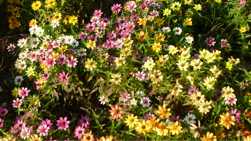 #929 期待する向きについて