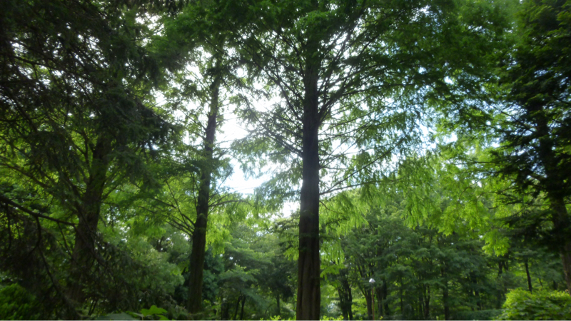 #940 神仏はおわすと信じている