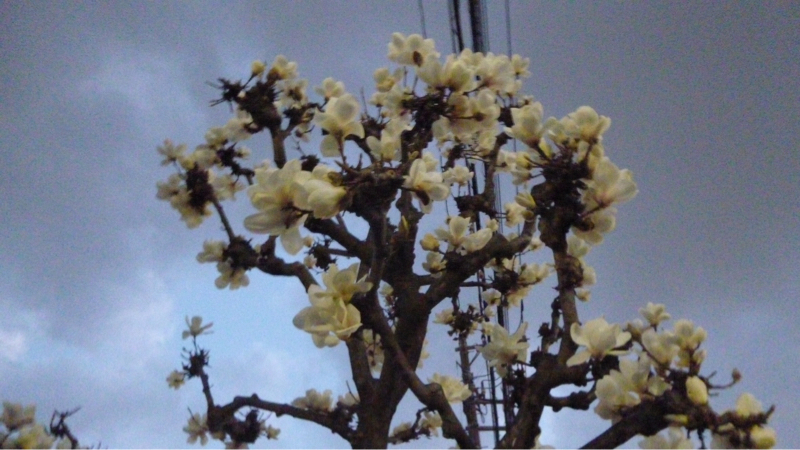 #941 若い時の信仰は当てにならない