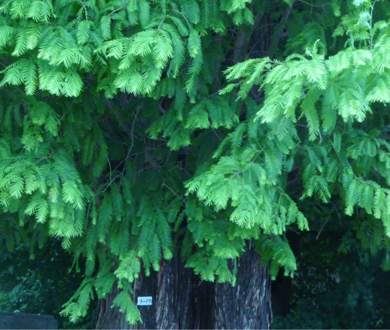 #943 note起動とかデジタル絵とか