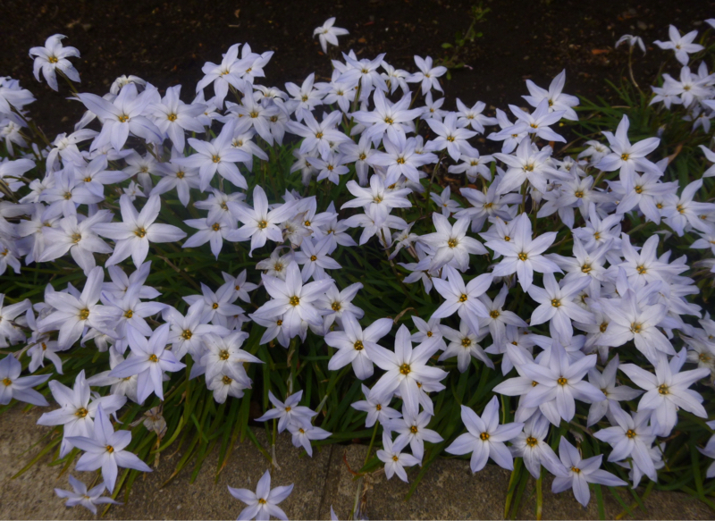 #944 オイルショックとか4月の予定