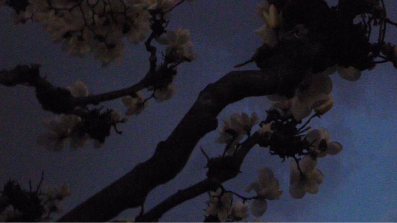 #946 アルゴリズムに包まれて