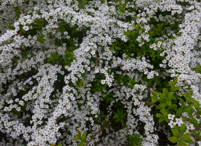 #947 燃え上がるプラント！もったいない！