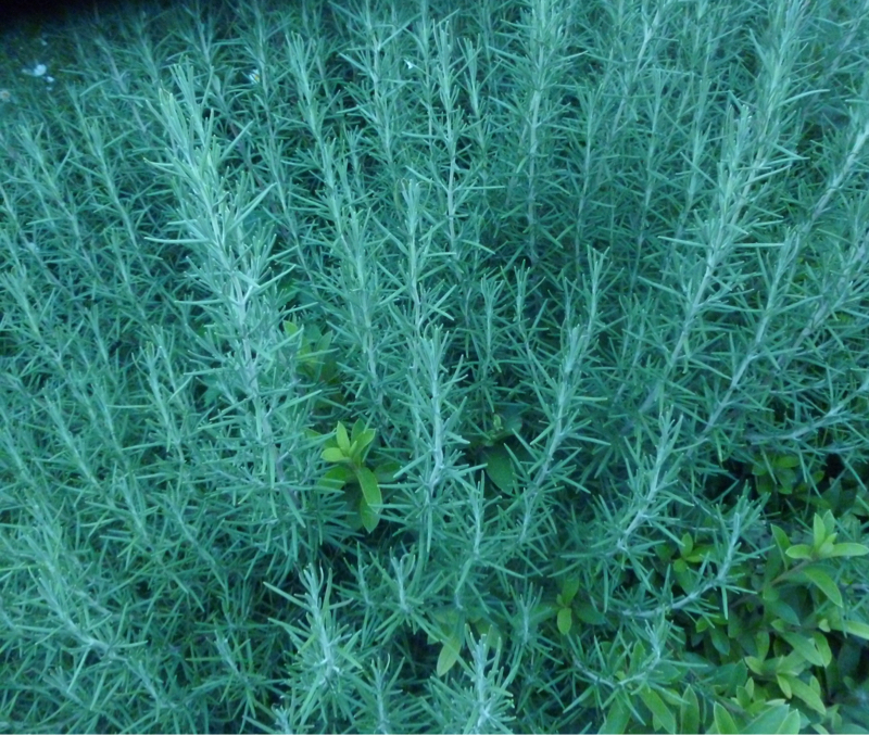 #952 月末週末、ブラックマンデー前夜？？