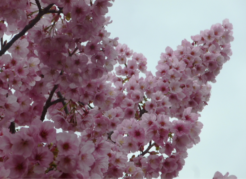 #957 見えてても見えてない目隠し