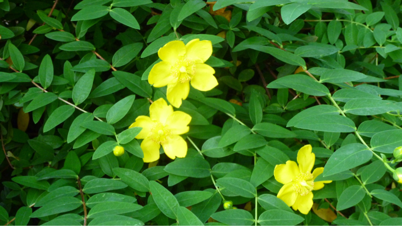 #958 オイルショックのやり過ごし方(無職版)を考えた