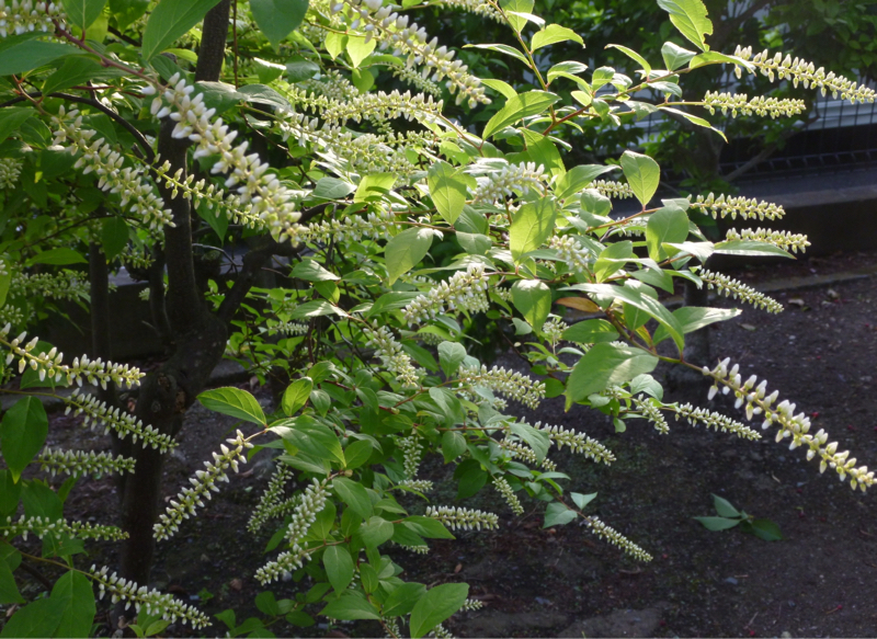 #959 久々に無職がトレード