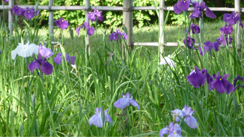 #971 天王星移動前夜2026