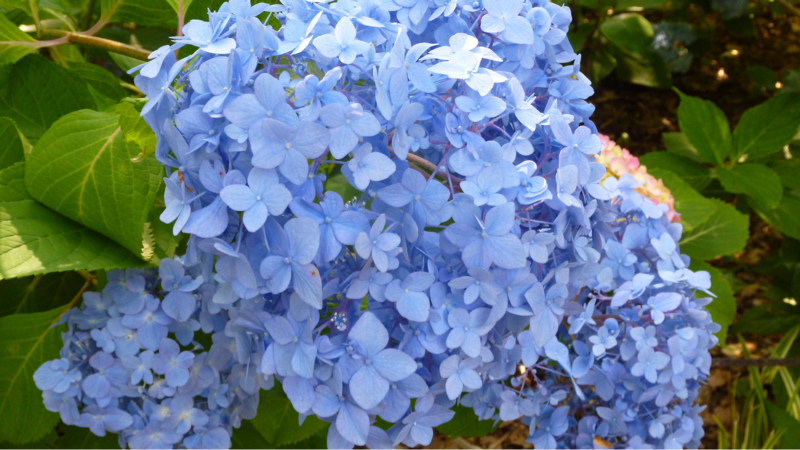 #987 ボールペン替え芯セットとか就活とか