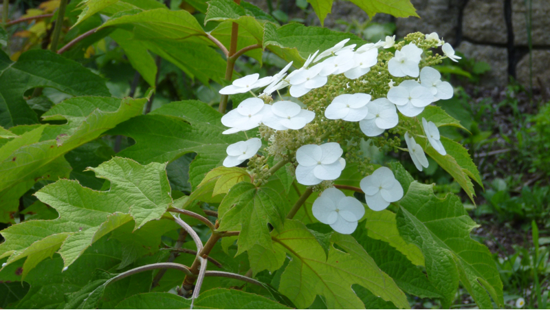 #1019  功徳と経済力