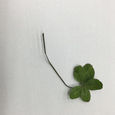 気ままに0話   自己紹介などなど〜