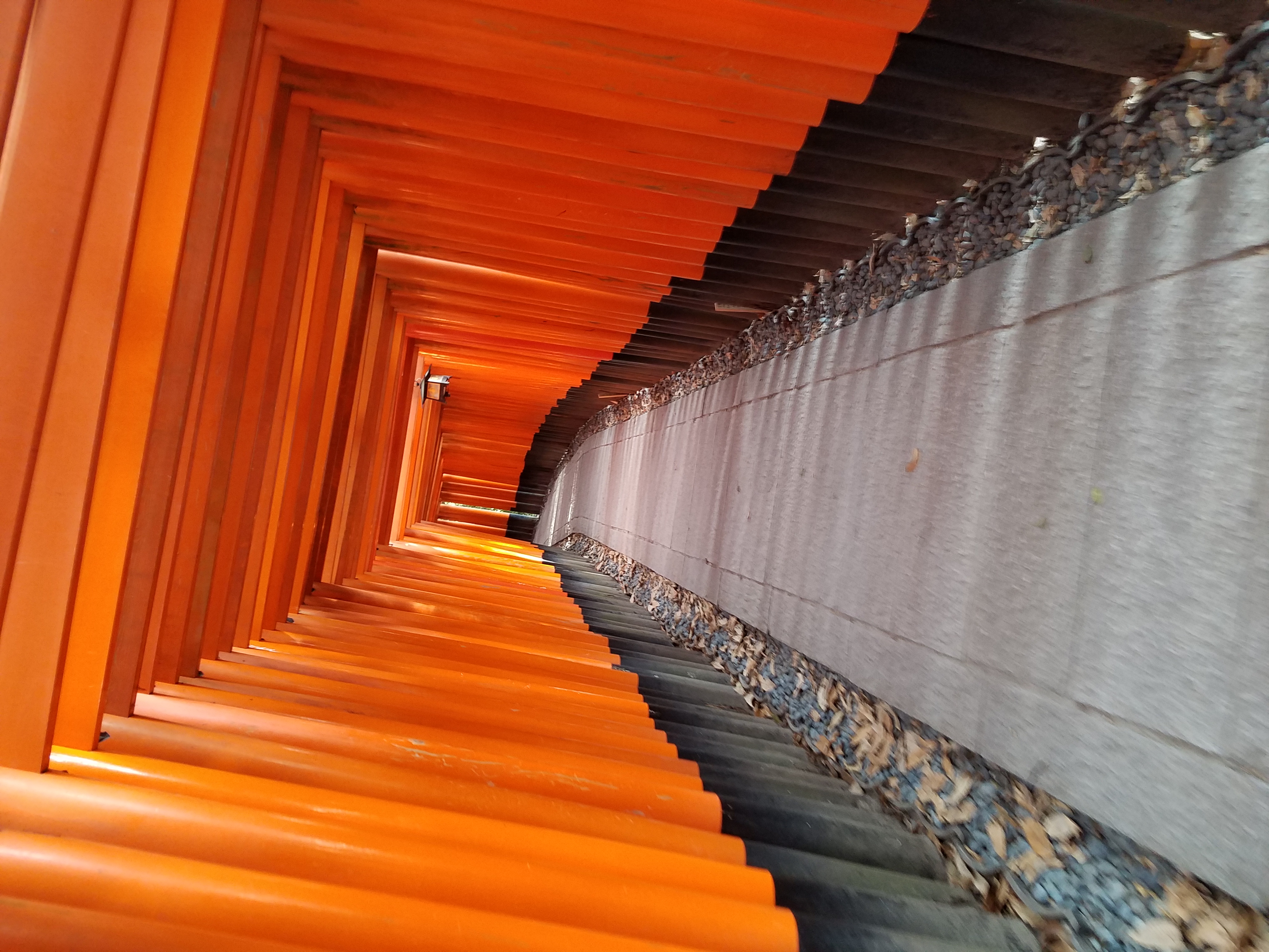 多分ダメじゃないラヂオ。