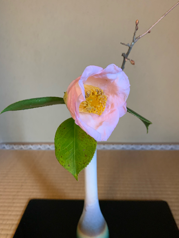 思いよ、届け。