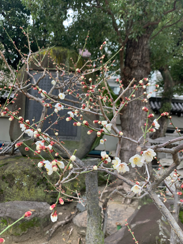 ボスのファッションチェーック！