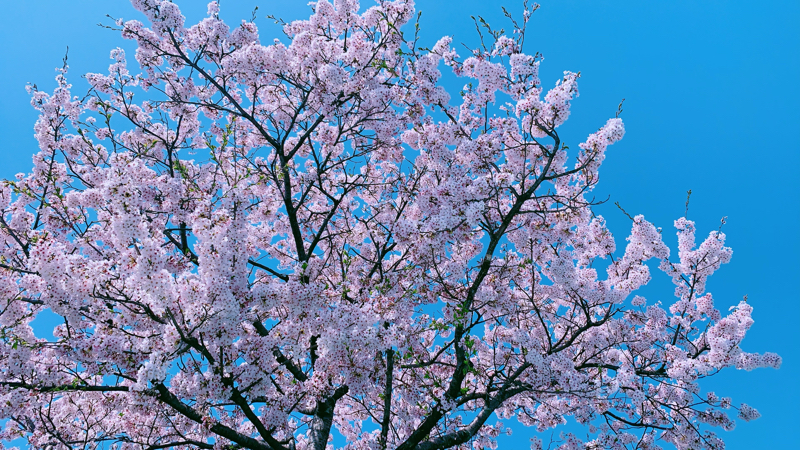 私のチャームポイント、くるぶしなんです♡