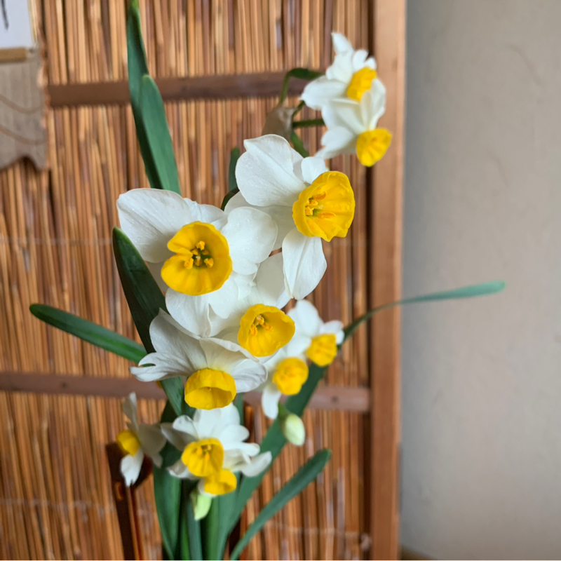 ダイキチdiary 3/1 放送回ふりかえり