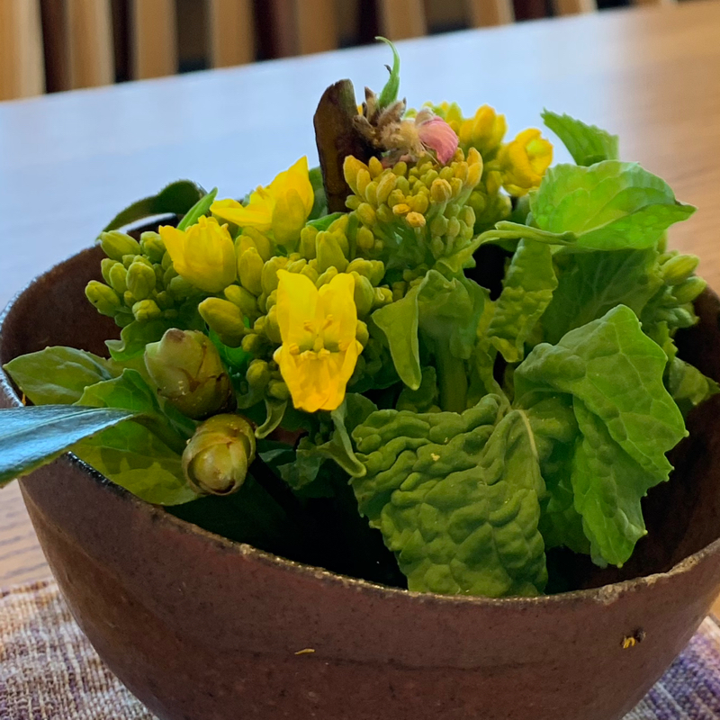 ダイキチdiary 3/15,22放送回ふりかえり