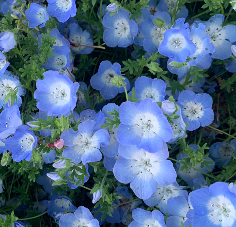 ダイキチdiary 4/19 放送回ふりかえり