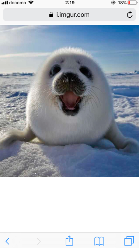 #1初めましての独り言