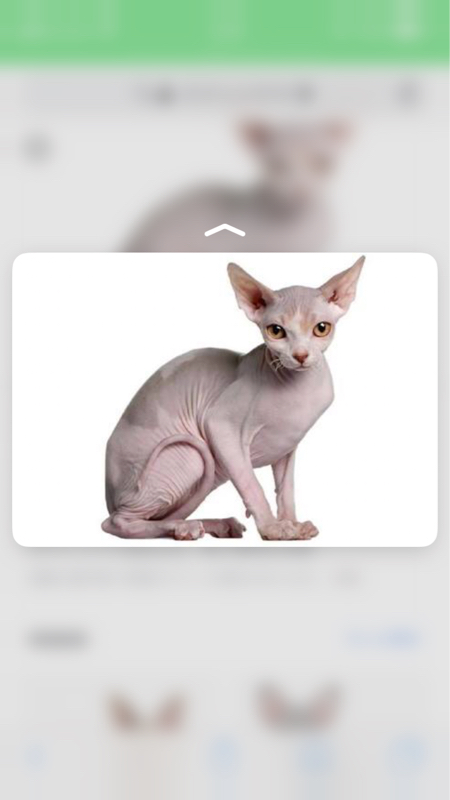 #3夏が終わるから独り言