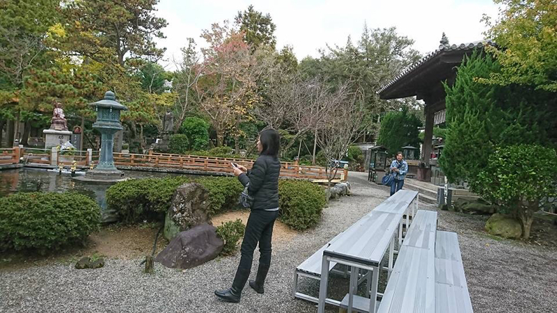 今日は何の日　そして昆虫のおはなし