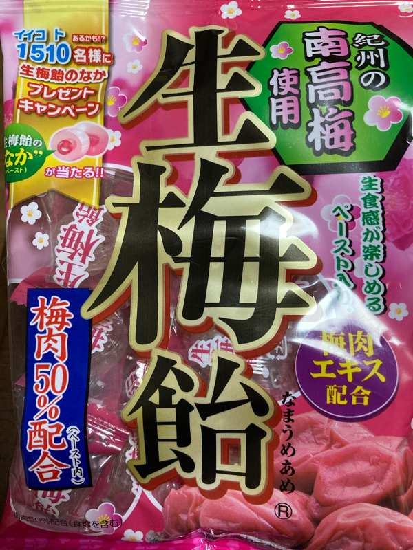 #94 断食中の塩や梅、そしてスクワットも大事かも