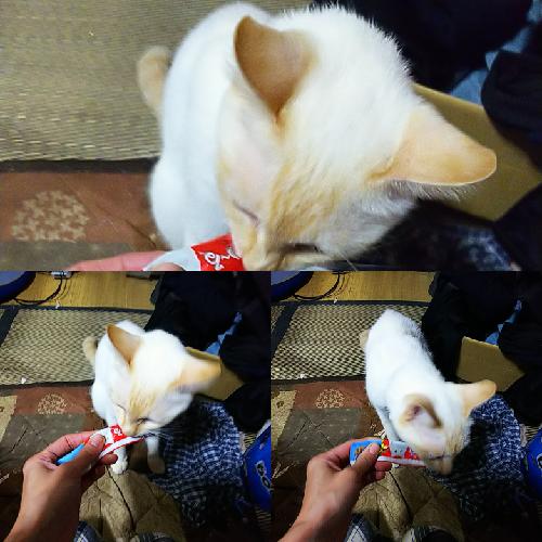 はじめましての三分間