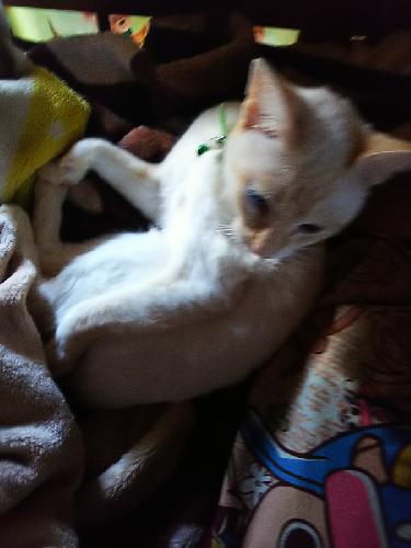 十回目、ワールドトリガーについて