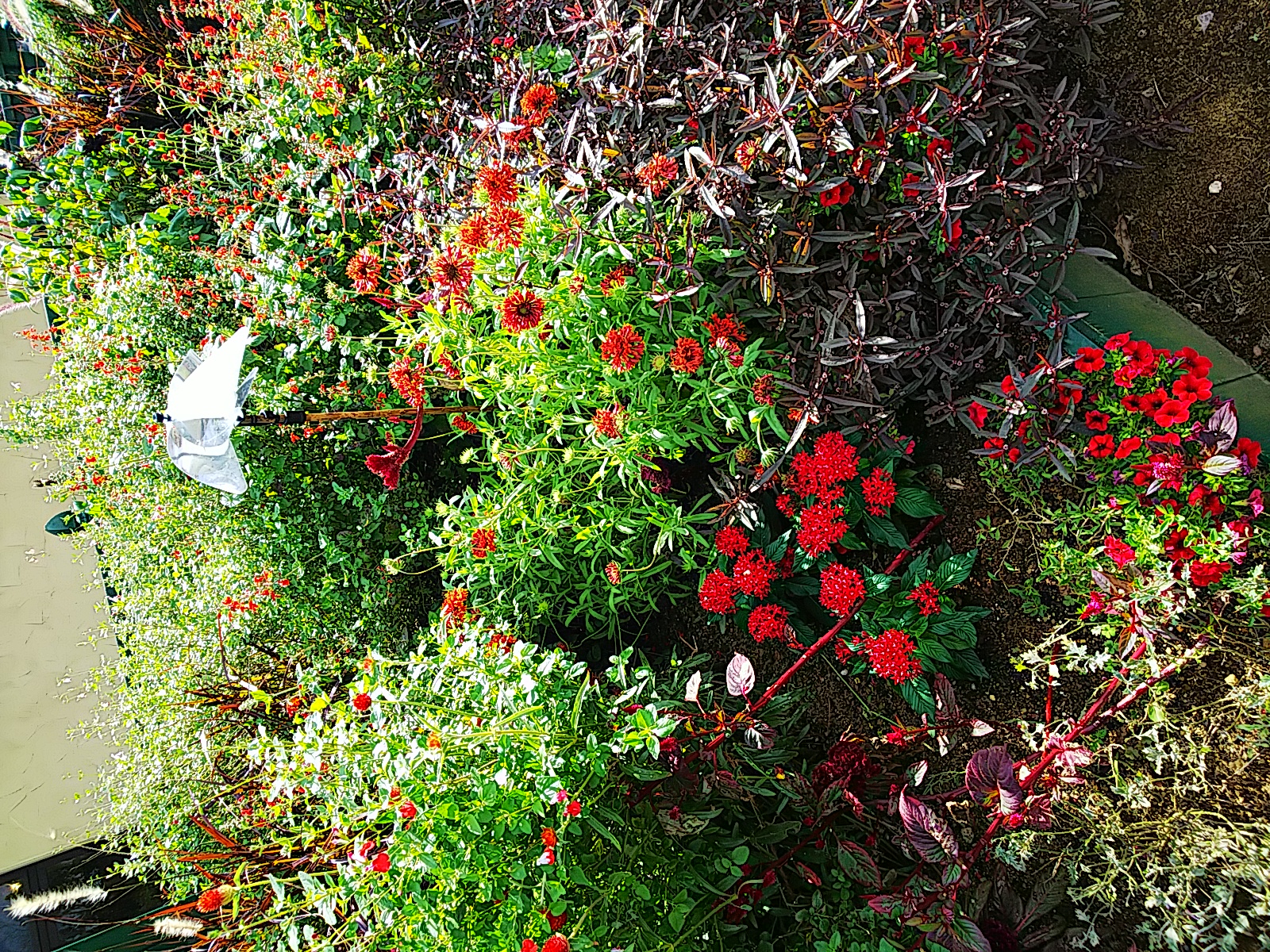 番外編、今のことその二