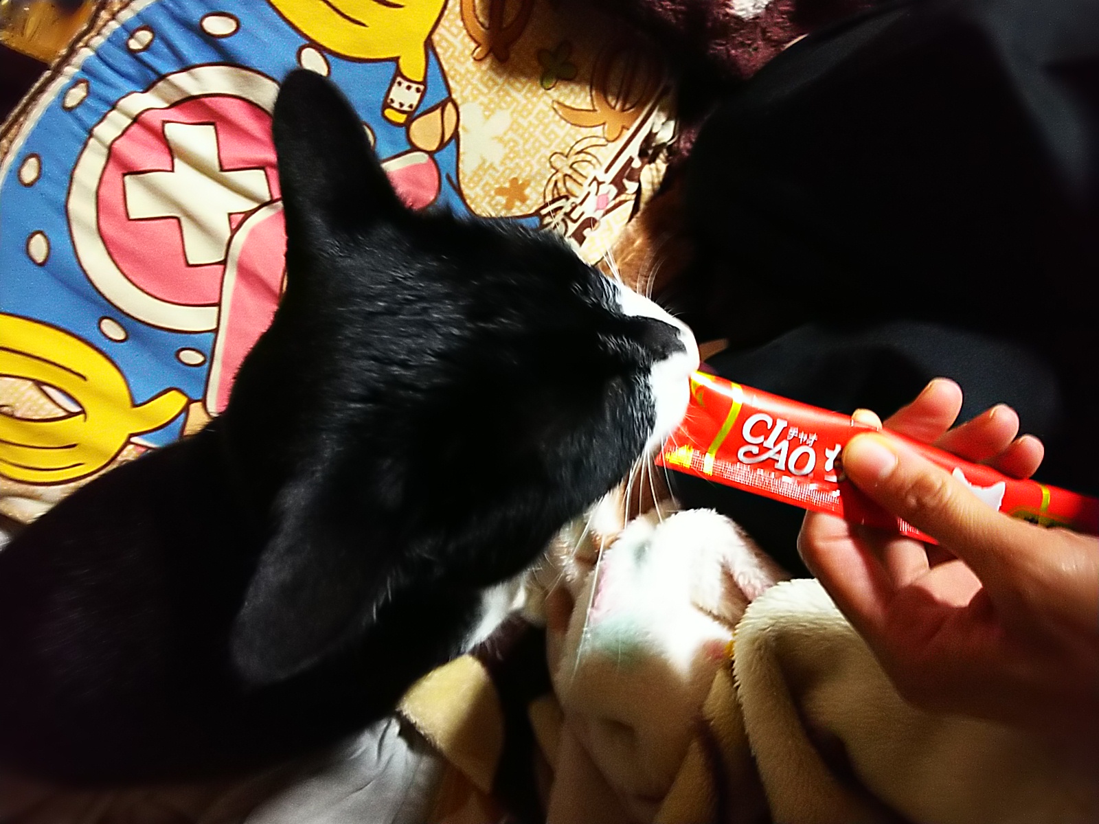 二十回目、水曜日のこと