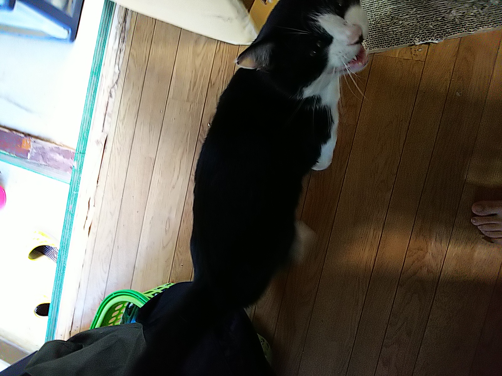 二十一回目 水害のことと雪のこと