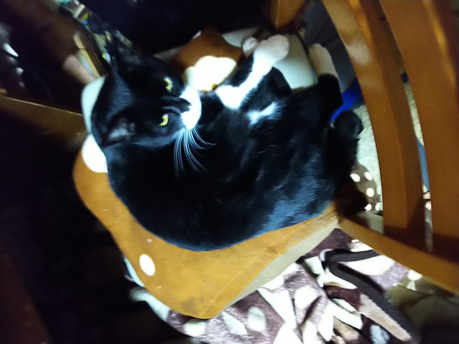 三十三回目、大晦日と新年のこと